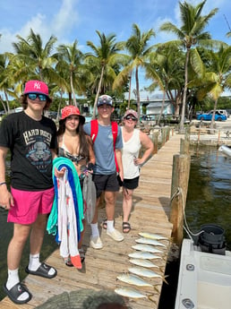 Yellowtail Amberjack Fishing in Key Largo, Florida