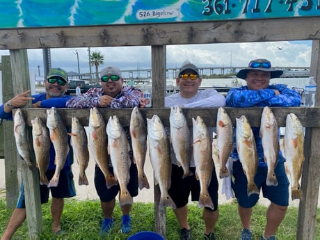 Redfish, Speckled Trout / Spotted Seatrout fishing in Rockport, Texas