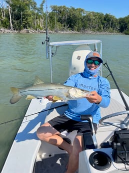 Snook Fishing in Layton Key, Florida