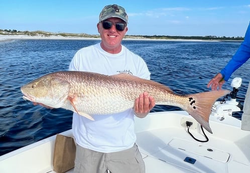 Redfish fishing in Pensacola, Florida