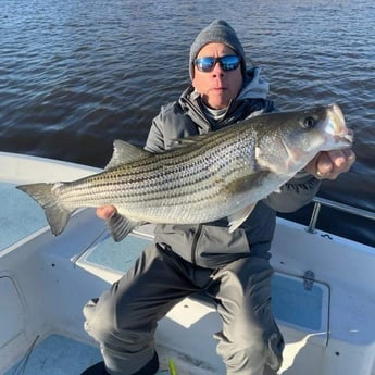 Striped Bass Fishing in Trails End Road, Wilmington, N, North Carolina