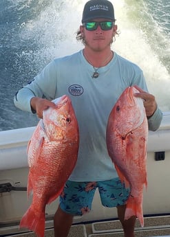 Red Snapper fishing in Galveston, Texas