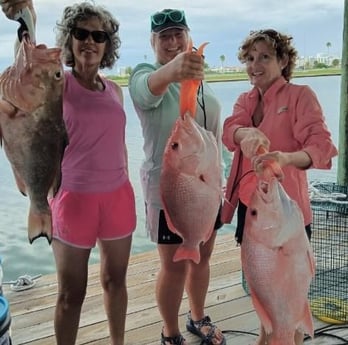 Red Grouper, Red Snapper fishing in Clearwater, Florida