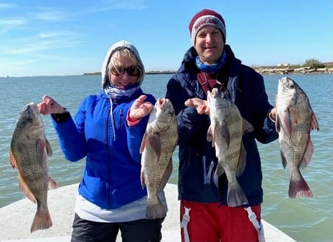 Black Drum fishing in Port Aransas , Texas