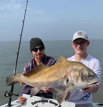 Black Drum fishing in Galveston, Texas