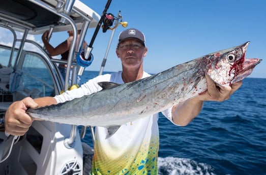 Kingfish Fishing in Boynton Beach, Florida