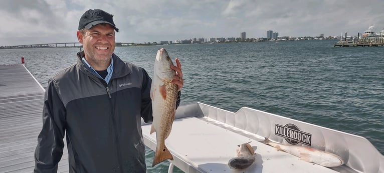 Redfish Fishing in Orange Beach, Alabama