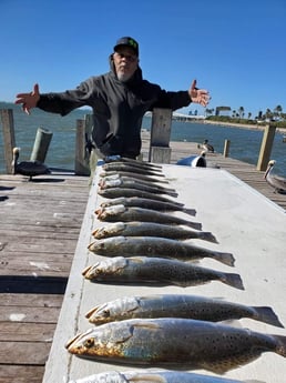 Speckled Trout / Spotted Seatrout fishing in Galveston, Texas