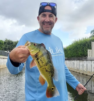 Peacock Bass fishing in Delray Beach, Florida