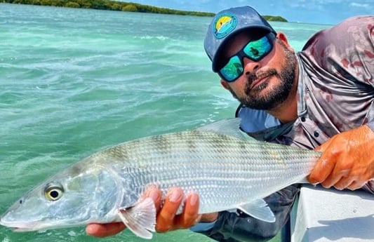 Bonefish fishing in Tavernier, Florida