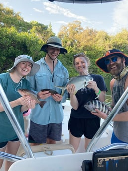 Florida Pompano, Mangrove Snapper Fishing in St. Petersburg, Florida