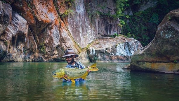 Golden Dorado fishing in Santa Cruz Dela Sierra, Bolivia