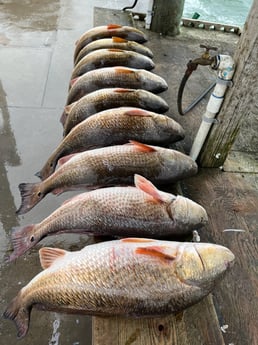 Redfish Fishing in Rockport, Texas