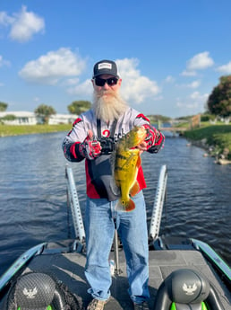 Peacock Bass Fishing in Boca Raton, Florida