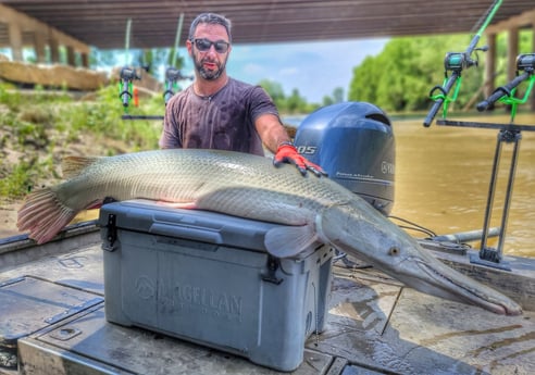 Alligator Gar fishing in Dallas, Texas