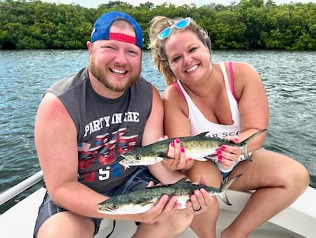 Spanish Mackerel Fishing in Tampa, Florida