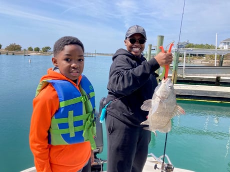 Sheepshead fishing in Wrightsville Beach, North Carolina