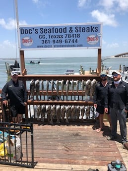 Black Drum, Speckled Trout / Spotted Seatrout fishing in Corpus Christi, Texas