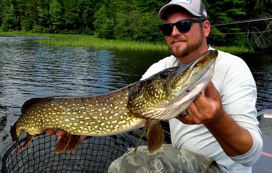 Muskie fishing in Knoxville, Tennessee