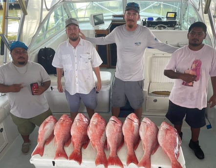 Red Snapper fishing in Galveston, Texas