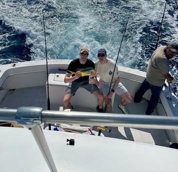 Mahi Mahi Fishing in Miami, Florida