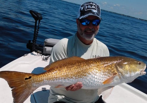 Redfish fishing in Santa Rosa Beach, Florida