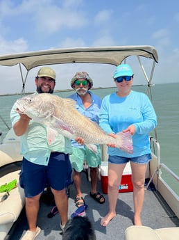 Black Drum fishing in South Padre Island, Texas