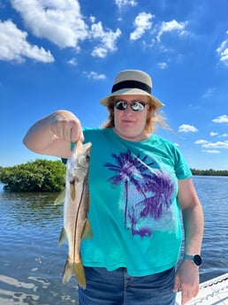 Snook Fishing in Hudson, Florida