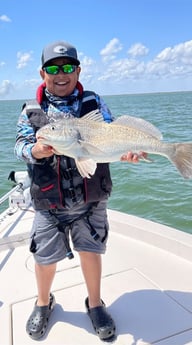 Black Drum fishing in Corpus Christi, Texas