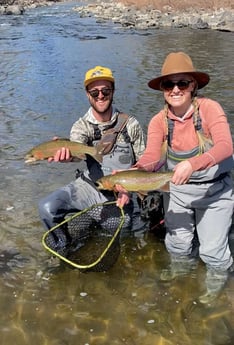 Rainbow Trout fishing in Denver, Colorado