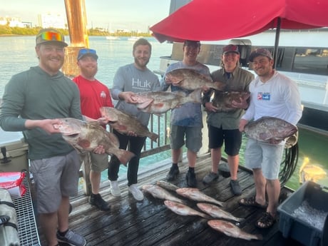 Red Grouper Fishing in Clearwater, Florida