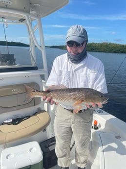 Redfish Fishing in Fort Myers, Florida