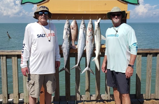 Bonnethead Shark, King Mackerel / Kingfish, Mangrove Snapper fishing in Port Isabel, Texas