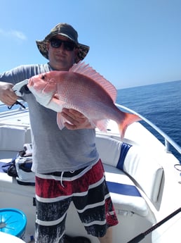 Red Snapper fishing in Clearwater, Florida