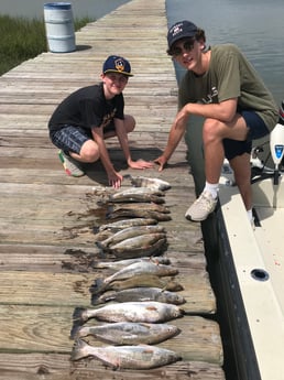 Black Drum, Speckled Trout / Spotted Seatrout fishing in Galveston, Texas