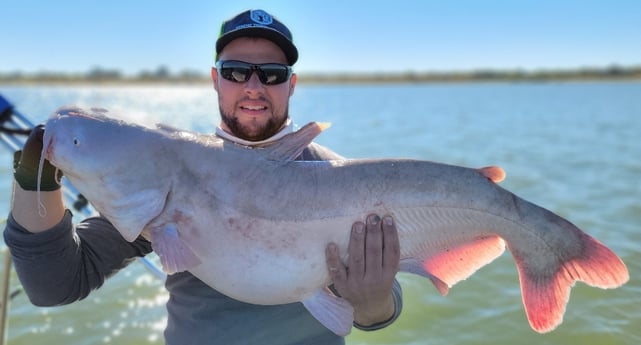 Blue Catfish fishing in Dallas, Texas