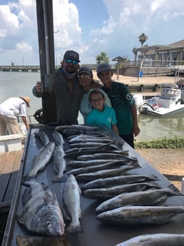 Black Drum, Speckled Trout / Spotted Seatrout fishing in Galveston, Texas