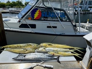 Mahi Mahi / Dorado, Wahoo Fishing in Pompano Beach, Florida