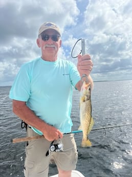 Speckled Trout Fishing in Panama City, Florida