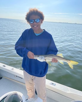 Snook fishing in Tampa, Florida