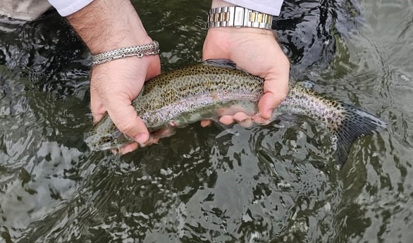 Fishing in Broken Bow, Oklahoma