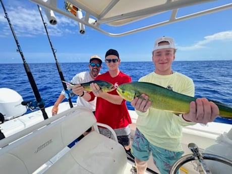 Albacore Tuna fishing in Fort Lauderdale, Florida