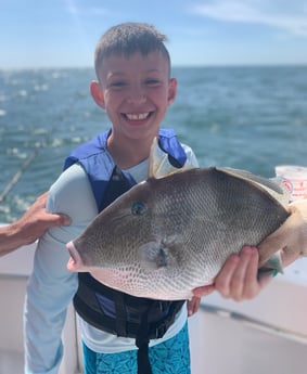 Triggerfish fishing in Orange Beach, Alabama