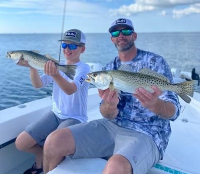 Speckled Trout / Spotted Seatrout Fishing in Sarasota, Florida