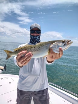 Speckled Trout / Spotted Seatrout fishing in Crystal River, Florida