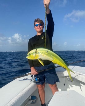 Mahi Mahi / Dorado fishing in Jupiter, Florida