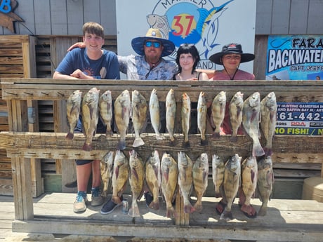 Black Drum, Speckled Trout Fishing in Corpus Christi, Texas