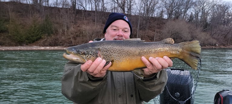Brown Trout Fishing in Lewiston, New York