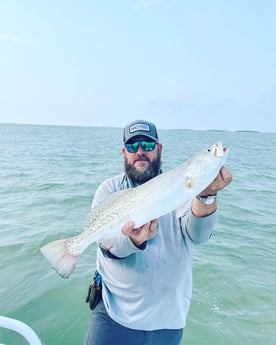 Speckled Trout Fishing in South Padre Island, Texas