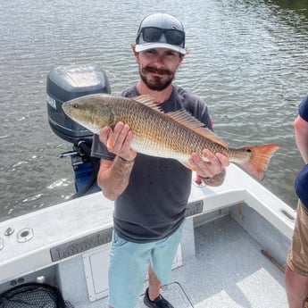 Redfish Fishing in Tampa, Florida